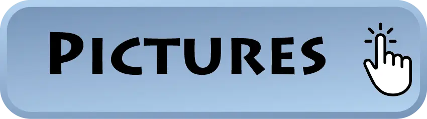 Click to see pictures of trikes built with our Frankenstein Trikes kit